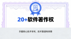 为某出名消费品牌办事时